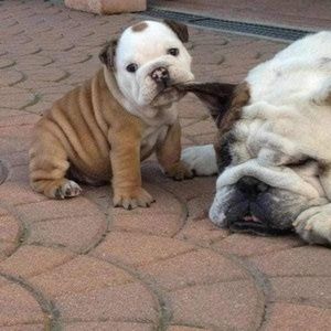 Meet your Posher, Zachary